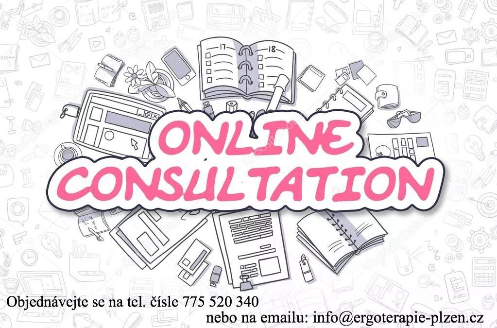 Online konzultace
